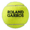 Tenisový míček - Wilson ROLAND GARROS ALL COURT 3 BALL - 2