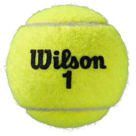 Tenisový míček - Wilson ROLAND GARROS ALL COURT 3 BALL - 3