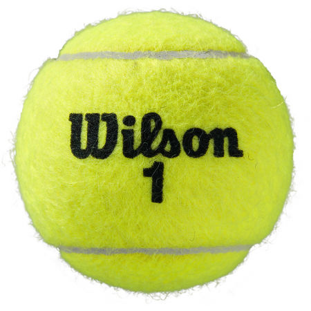 Tenisový míček - Wilson ROLAND GARROS OFFICIAL 4 BALL - 3
