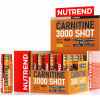 L -carnitine - Nutrend CARNITINE 3000 SHOT ANANAS - 2