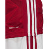 Pánský fotbalový dres - adidas AFC H JSY - 10