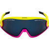Unisex sluneční brýle - Alpina Sports 5W1NG CM - 2