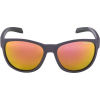 Unisex sluneční brýle - Alpina Sports NACAN II - 1
