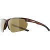 Unisex sluneční brýle - Alpina Sports DEFEY HR - 1