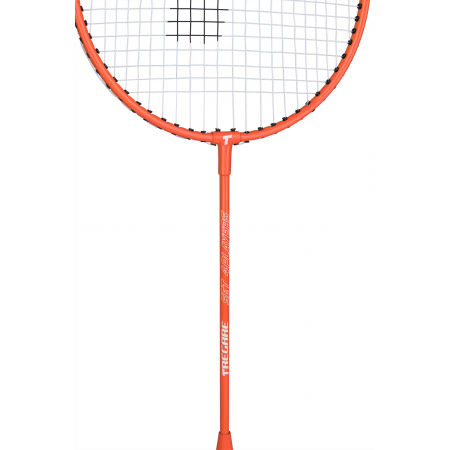 Badmintonový set pro 4 hráče - Tregare BDM 4 SET - 8