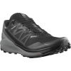 Pánská trailová obuv - Salomon SENSE RIDE 4 INVISIBLE GTX - 1