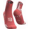Běžecké ponožky - Compressport RACE V3.0 RUN HI - 1