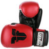 Boxerské rukavice - Fighter BASIC - 1