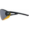 Sluneční brýle - Alpina Sports 5W1NG Q+CM - 2