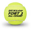 Tenisové míče - Dunlop FORT ALL COURT TS - 2