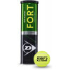 Tenisové míče - Dunlop FORT ALL COURT TS - 1