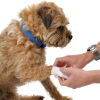 Lékárnička pro psy - MOUNTAINPAWS DOG FIRST AID KIT - 4