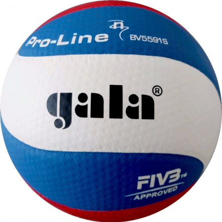 Volejbalový míč - GALA PRO LINE BV 5591 S