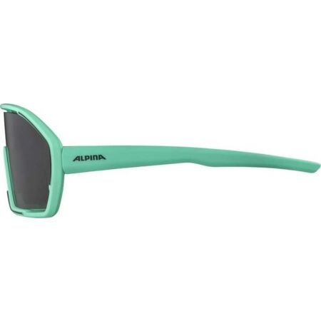 Sluneční brýle - Alpina Sports BONFIRE - 3
