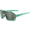 Sluneční brýle - Alpina Sports BONFIRE - 1