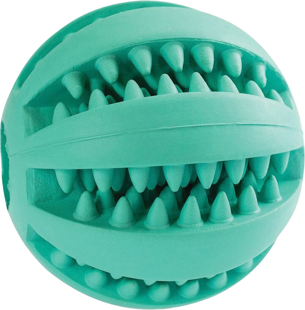 Dentální míček