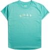 Dámské tričko - Roxy EPIC AFTERNOON TEES - 1