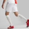 Pánské fotbalové šortky - Puma SKS SHORTS PROMO - 5