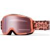 Dětské lyžařské brýle - Smith DAREDEVIL JR - 1