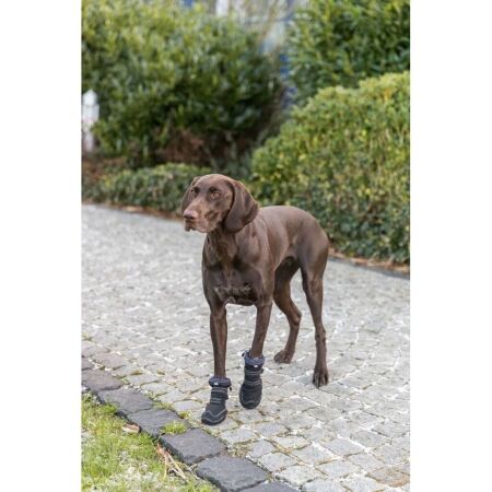 Ochranné boty pro psy - TRIXIE WALKER ACTIVE LONG S - 6