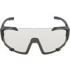 Sluneční brýle - Alpina Sports HAWKEYE S - 3