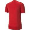 Pánské fotbalové triko - Puma TEAMGLORY JERSEY TEE - 2