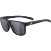 Sluneční brýle - Alpina Sports NACAN III - 1