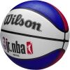 Juniorský basketbalový míč - Wilson NBA DRV LIGHT FAM LOGO JR - 5