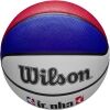 Juniorský basketbalový míč - Wilson NBA DRV LIGHT FAM LOGO JR - 6