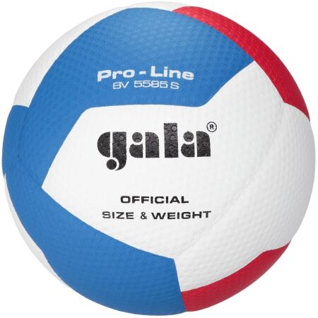 Volejbalový míč - GALA BV5585 PRO-LINE 12