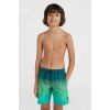 Chlapecké plavecké šortky - O'Neill JACK - 4