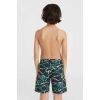 Chlapecké plavecké šortky - O'Neill JACK - 5