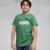 Dětské triko - Puma ESSENTIALS+2 COL LOGO TEE - 3