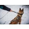 Vodítko na psy - NON-STOP DOGWEAR TOURING BUNGEE WD - 2