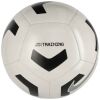 Fotbalový míč - Nike PITCH TRAINING - 1