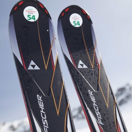 Sjezdové lyže - Fischer PROGRESSOR 800 PR + RS 10 PR - 3