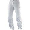Dámské kalhoty - Salomon STORMSPOTTER PANT W - 1