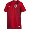 Chlapecký fotbalový dres - Nike ACSP Y NK BRT FTBL TOP SS HM - 2