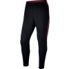 Pánské fotbalové kalhoty - Nike DRY-FIT SQUAD PANT - 1