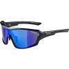 Unisex sluneční brýle - Alpina Sports LYRON SHIELD P - 1