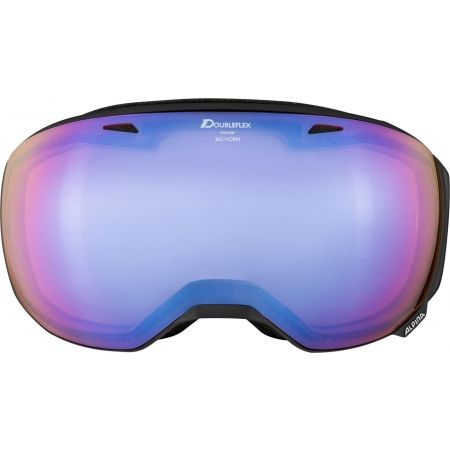 Unisex lyžařské brýle - Alpina Sports BIG HORN HM - 1