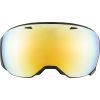 Unisex lyžařské brýle - Alpina Sports BIG HORN QVM - 1
