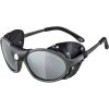 Unisex sluneční brýle - Alpina Sports SIBIRIA - 1