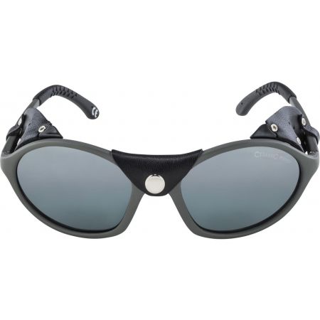 Unisex sluneční brýle - Alpina Sports SIBIRIA - 2