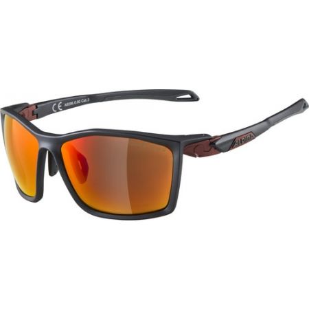 Unisex sluneční brýle - Alpina Sports TWIST FIVE CM+
