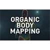 ORGANIC BODY MAPPING
